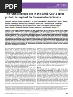 Furin Cleavage Site Required For Transmission