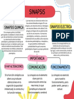 Mapa Conceptual Sinapsis