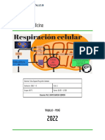 Sesión 5 - Actividades y Fundamentos