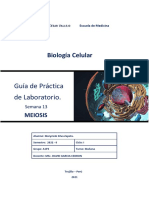 Guía Práctica Laboratorio MEIOSIS