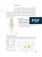 Anatomy and Physiology - Benign Febrile Convulsion