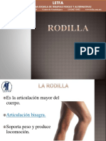 QPX-M8 Rodilla