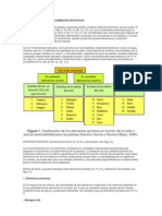 Clasificación de Los Elementos Nutritivos