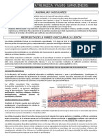 AP Vasos, Sape PDF