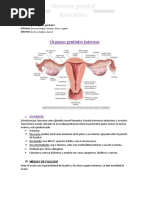 Sist Genital Femenino