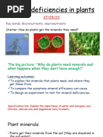 Mineral Deficiencies in Plants