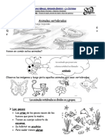 Guia Seres Vertebrados e Invertebrados