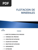 3 Flotacion