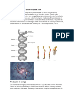 Taxonomía Basada en La Homología Del ADN