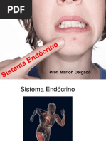 Aula - 8º Ano - Sistema Endócrino