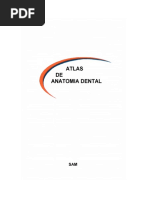 ATLAS DENTAL Anatomiadentariasoloatlas-101004212450-Phpapp01