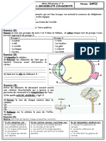 Série Des Exercices La Sensibilté Consciente - Système Nerveux - 3APIC