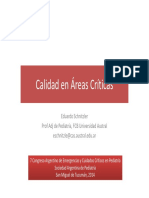 Schnitzler Areas Criticas