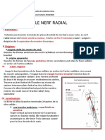 Fichier Produit 2135