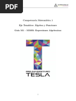 Competencia Matem Atica 1 Eje Tem Atico: Algebra y Funciones Gu Ia M1 - MM05: Expresiones Algebraicas