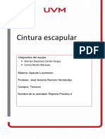 Reporte de Práctica Cintura Escapular