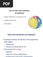 Fatty Acid Oxidation