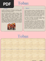 Tobas Expo