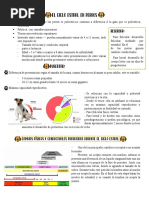 El Ciclo Estral en Canino, 27 Oct