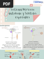 Sistema Nervioso Autonomo. Sentidos Especiales LG