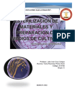 Informe Esteerilizacion y Medios de Cultivo