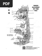Anônimo - A Alquimia Interior TaoÍsta (Perspectiva Rica