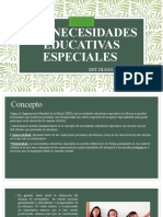 Las Necesidades Educativas Especiales