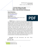 The Impact of Oil Spills On The Environment and Surrounding Communities: Case of Spain and Brazil