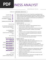 Business Analyst Resume Sample