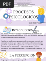 Procesos Psicologicos