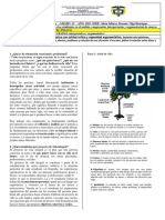 Guía 3 Orientación Profesional y El Ensayo. Castellano 11° P2 2023