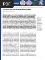 Anti Glomerular Basement Membrane Disease.18