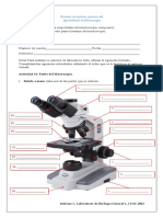 Formato de Informe N.1