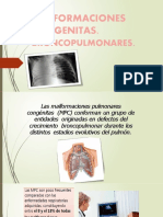 Presentación Malformaiones Pulmonare-1