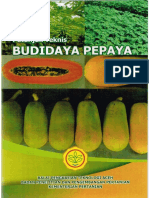 Petunjuk Budidaya Pepaya