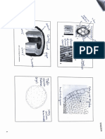 PDF Repaso 1er Parcial - FarmacoBotanica