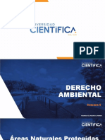 Derecho Ambiental - Sem-06 - Sesión-06