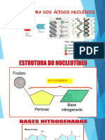 AULA 2 - Ácidos Nucleicos