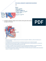 Actvidades Fisio 3 Trimestre