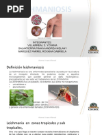 Leishmania Parasitologia Diapositivas