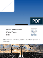 Whitepaper Entendendo Ativos Ambientais