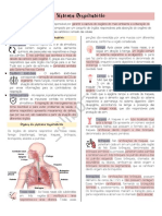 4° Sistema Respiratório