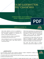 Limpieza de Gasoductos Con Pig "Chancheo: Nombre Estudiante: Willian Meneses Soliz Materia: Transporte Y Almacenaje