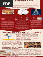 Rojo Blanco Antiguo Marcos Dinámicos ConflictoDesplazamiento Centro de Crisis Infografía