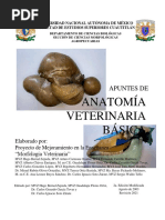 Apuntes de Anatomía Veterinaria Básica Revisión 2021