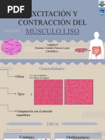 Excitación y Contracción Del Músculo Liso