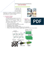 Los Glúcidos para Cuarto Grado de Secundaria