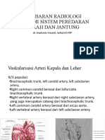 Gambaran Radiologi Anatomi Sistem Peredaran Darah Dan Jantung