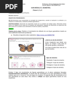 Guía Módulo 3 Mateamática (Clases 4, 5 y 6)