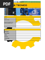 FORMATO TIPO Informe Técnico Crane-Chile